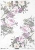 róża, róże, ogród, kwiat, wiosna, lato, pastel, R836, rose, garden, flower, spring, summer, pastel, Rose, Rosen, Garten, Blume, Frühling, Sommer, Pastell, rosa, rosas, jardín, flor, primavera, verano, pastel 